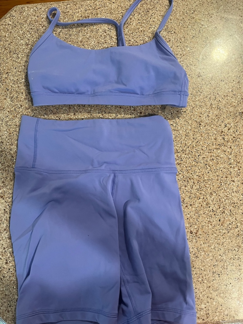 Aritzia Sports Bra and Shorts Set